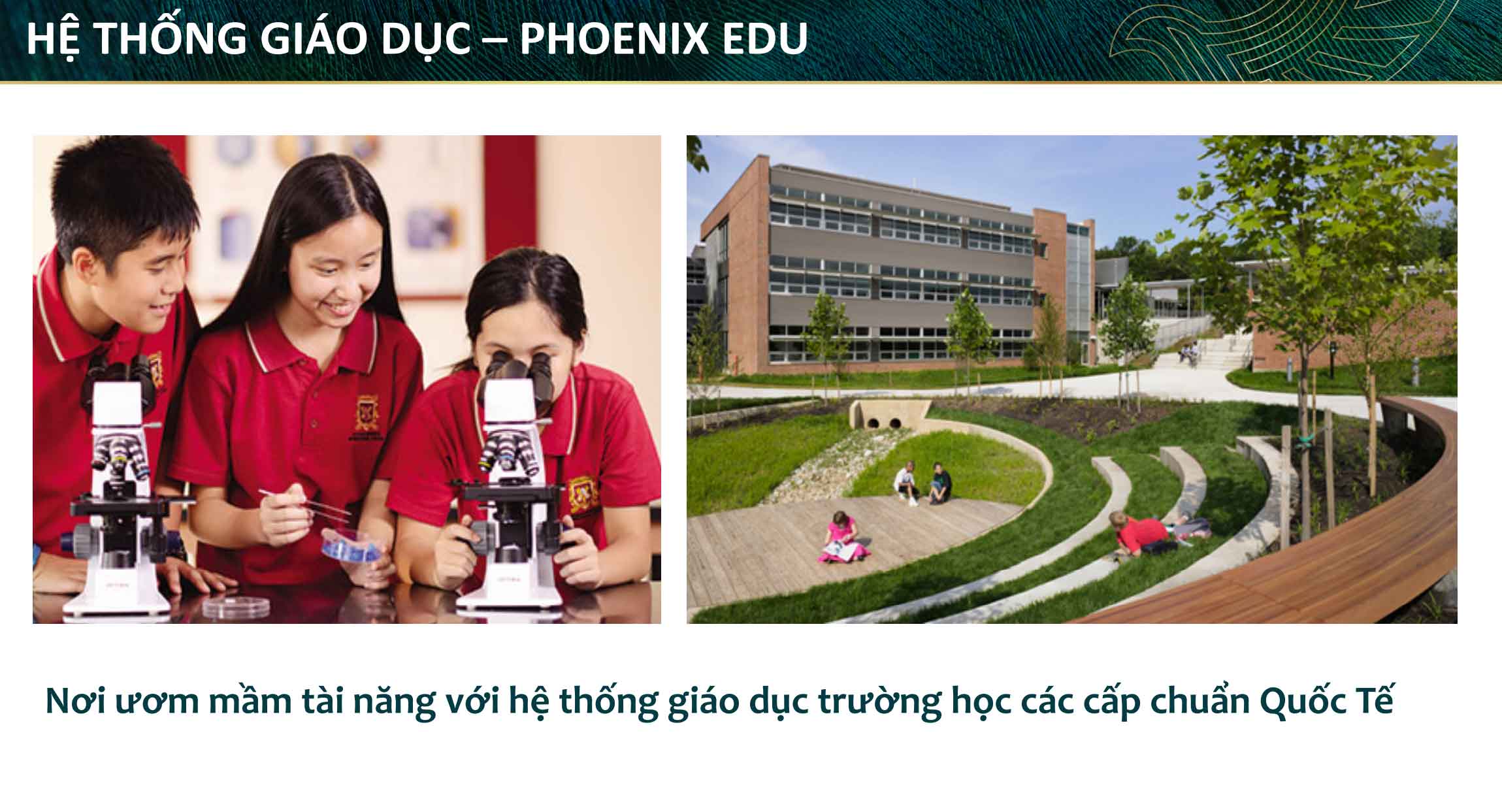 Aqua City - Hệ thống giáo dục Phoenix Edu