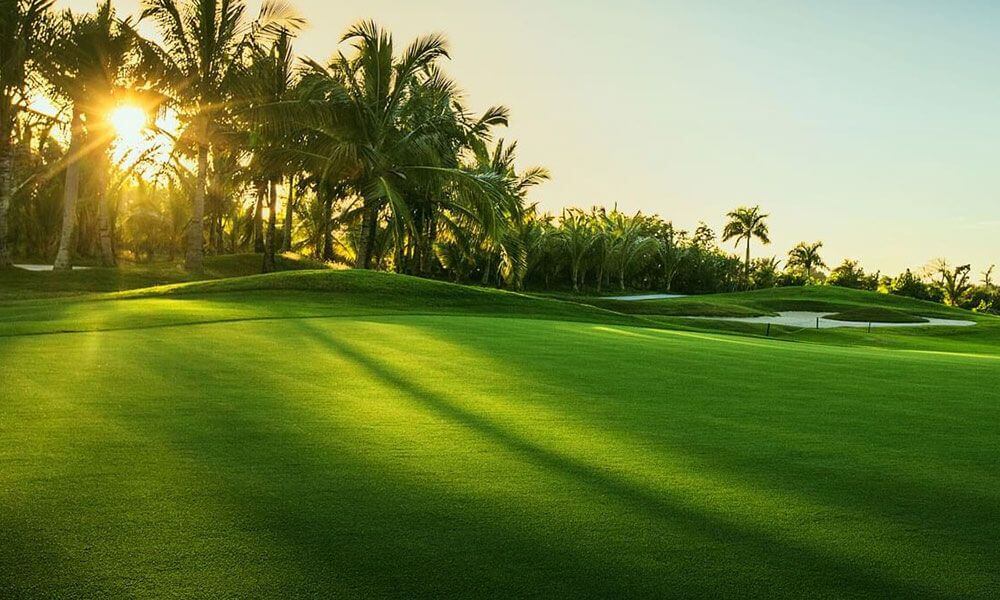 Aqua City - Tiện ích Sân Golf 36 Lỗ Chuyên Nghiệp