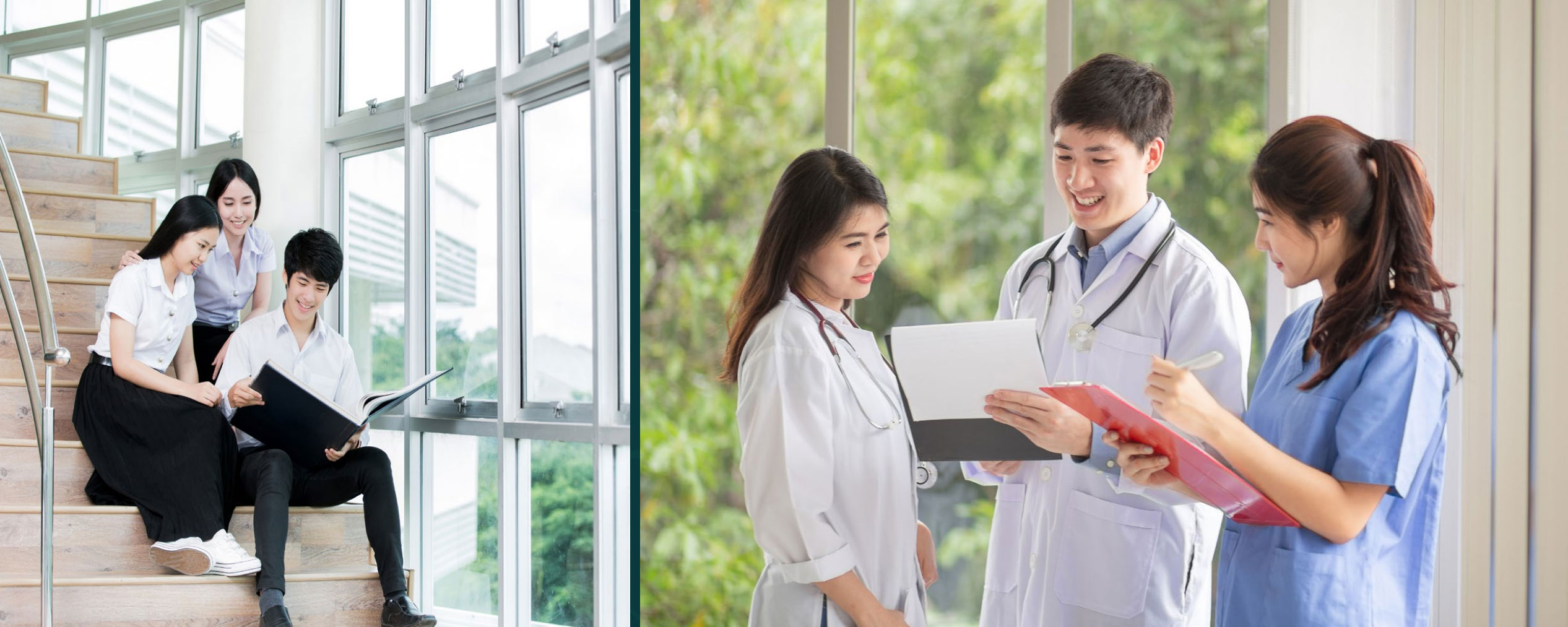 Aqua City - Trường học các cấp the Stella